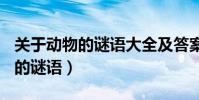 關于動物的謎語大全及答案100個(關于動物的謎語)