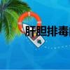 肝膽排毒的最佳方法（肝膽指什么）