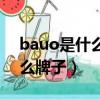 bauo是什么牌子的鞋翻譯漢字（bauo是什么牌子）