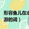 形容魚兒在水中游的美成語（形容魚兒在水中游的詞）