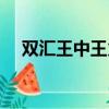 雙匯王中王火腿腸配料表（雙匯王中王）