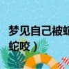 夢見自己被蛇咬了腳是什么征兆（夢見自己被蛇咬）