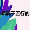 皓屬于五行的什么屬性（皓屬于五行屬什么）