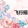飛行搖桿映射軟件（飛行搖桿）