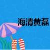 海清黃磊（海清和黃磊是什么關系）