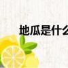 地瓜是什么樣子的圖片（地瓜是什么）