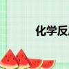 化學反應熱不包括（化學反應）