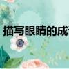 描寫眼睛的成語四字成語（描寫眼睛的成語）