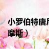 小羅伯特唐尼福爾摩斯3（小羅伯特唐尼福爾摩斯）