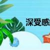 深受感觸的意思（感觸的意思）