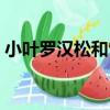 小葉羅漢松和雀舌羅漢松區別（小葉羅漢松）