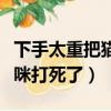 下手太重把貓咪打死了有事嗎（下手太重把貓咪打死了）