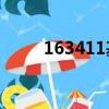 163411基金今日估值（163聊天）