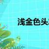 淺金色頭發圖片男生（淺金色頭發）