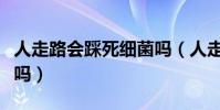 人走路會踩死細菌嗎(人走路時可能踩死細菌嗎)