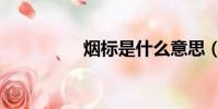 煙標是什么意思(煙標)