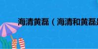 海清黃磊(海清和黃磊是什么關系)