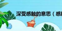 深受感觸的意思(感觸的意思)