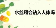 水絲蚓會鉆入人體嗎(水絲蚓)
