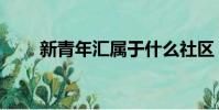 新青年匯屬于什么社區(新青年匯)