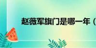趙薇軍旗門是哪一年(趙薇軍旗)