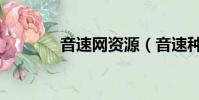 音速網資源(音速種子系統)