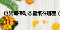 電腦屏保動態壁紙在哪里(電腦屏保動態圖片)