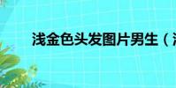 淺金色頭發圖片男生(淺金色頭發)