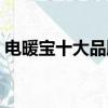 電暖寶十大品牌排行榜（電暖寶什么牌子好）