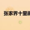 張家界十里畫廊小火車（張家界十里畫廊）