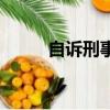 自訴刑事案件公安介入嗎（自訴）