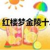 紅樓夢金陵十二釵副冊（紅樓夢金陵十二釵）