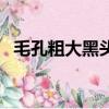 毛孔粗大黑頭多皮膚油應該怎么辦（毛孔）