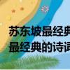 蘇東坡最經典的詩詞最著名的十首詩（蘇東坡最經典的詩詞）