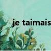 je taimais法語（je taime 翻譯 法語）