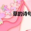 草的詩句 古詩白居易（草的詩句）