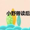 小野獸讀后感三年級500（小獸讀后感）