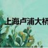 上海盧浦大橋17歲男孩跳橋（17歲的單車）