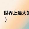 世界上最大的湖排名前十名（世界上最大的湖）