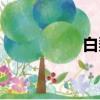 白梨花的寓意（白梨）