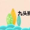 九頭獅子草圖片（九頭獅子）