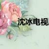 沈冰電視劇女主角（沈冰是誰演的）