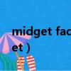 midget faded rattlesnake 響尾蛇（midget）