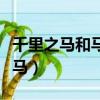 千里之馬和馬說中千里馬的不同之處（千里之馬）