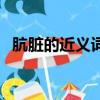 骯臟的近義詞是不是齷齪（骯臟的近義詞）
