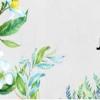 Jlaw520（j law）