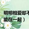 明明相愛卻不能在一起的小說（明明相愛卻不能在一起）