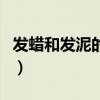 發蠟和發泥的區別效果圖（發蠟和發泥的區別）