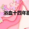 浴血十四年劇情介紹（浴血十四年演員表）