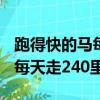 跑得快的馬每天走240里跑的嗎（跑得快的馬每天走240里）